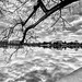 Daryl Miller Photo 22