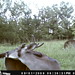 Marion Hunt Photo 14