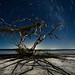 Garry Barker Photo 29