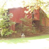 Laurie Dunlap Photo 16
