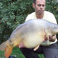 Mark Firmin Photo 12