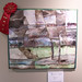 Colette Smith Photo 16