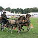 John Scurry Photo 24