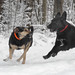 Cindy Snow Photo 25