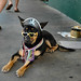 Mark Pennington Photo 11