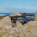 David Fitzhugh Photo 34