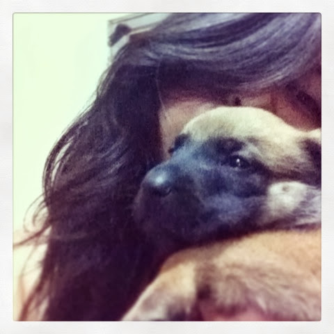 Elizabeth Reyes Photo 12