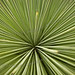 Lance Sharp Photo 24