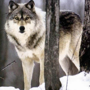 Rick Duncan Photo 32
