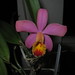 Aileen Hunt Photo 11