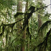 Douglas Macmillan Photo 7