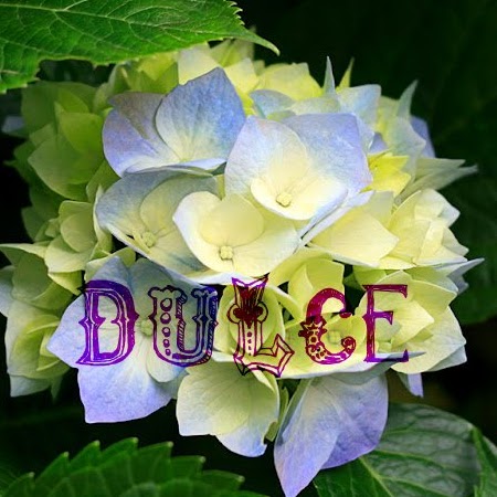 Dulce Gonzalez Photo 26