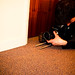 Carl Sharpe Photo 27