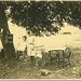 Juanita Stephens Photo 36