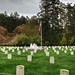Donald Hoover Photo 21