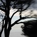 Jeff Pfeiffer Photo 36