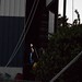 Ray Dunn Photo 31