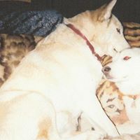 Nancy Luckie Photo 5