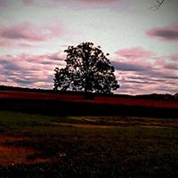 Robin Benoit Photo 19