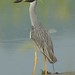 Jerry Downs Photo 30