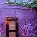 Violet Walling Photo 9