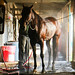 Eddie Adams Photo 12