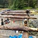 Dave Notch Photo 8