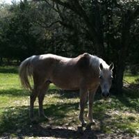 Robin Ratliff Photo 15