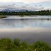 Thomas Knowles Photo 22