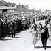 Elizabeth Graves Photo 14