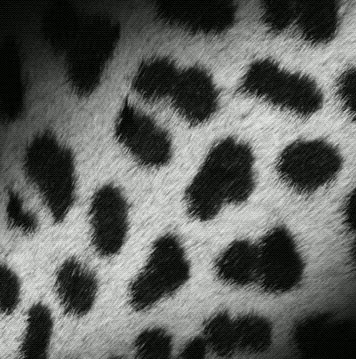 Vicky Watson Photo 9