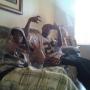 Larry Thornton Photo 15
