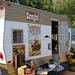 Debra Camp Photo 21