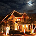 Tracy Jones Photo 48