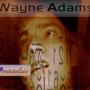 Wayne Adams Photo 32