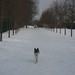 Carl Winters Photo 12