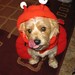 Marlene Thompson Photo 27