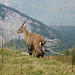 Van Du Photo 25