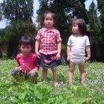 Christine Hwang Photo 12