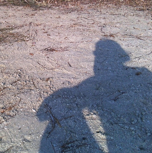 Jessica Chambers Photo 12