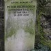Peter Richardson Photo 31