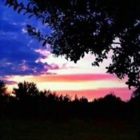 Cynthia Rogers Photo 42