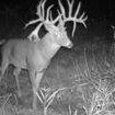 Robert Breaux Photo 11