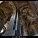 Michele Esser Photo 10