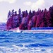 Bruce Mcpherson Photo 26
