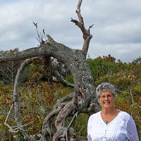 Kathy Webster Photo 8