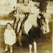 Dorothy Newman Photo 14