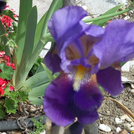 Barbara Cullimore Photo 2