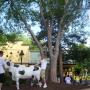 Paul Schaffer Photo 46