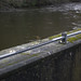 Robin Matlock Photo 20